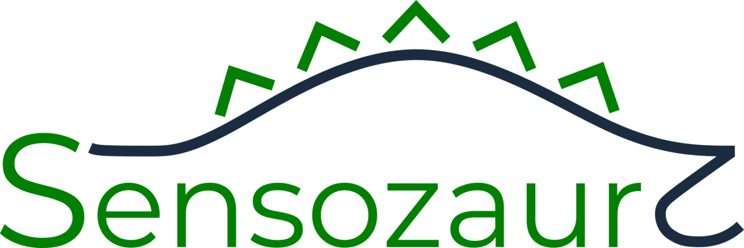 Sensozaur – Diagnoza i terapia zaburzeń SI Bydgoszcz